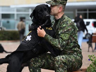 Perros terapeutas ayudan a soldados heridos en Colombia
