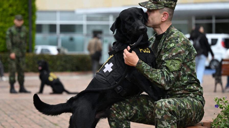 Perros terapeutas ayudan a soldados heridos en un hospital de Colombia