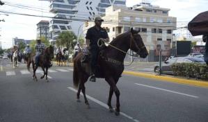 Ganaderos y empresarios denuncian ola de robos de caballos en el país