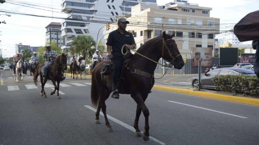 Ganaderos y empresarios denuncian ola de robos de caballos en el país Ganaderos y empresarios denuncian ola de robos de caballos en el país