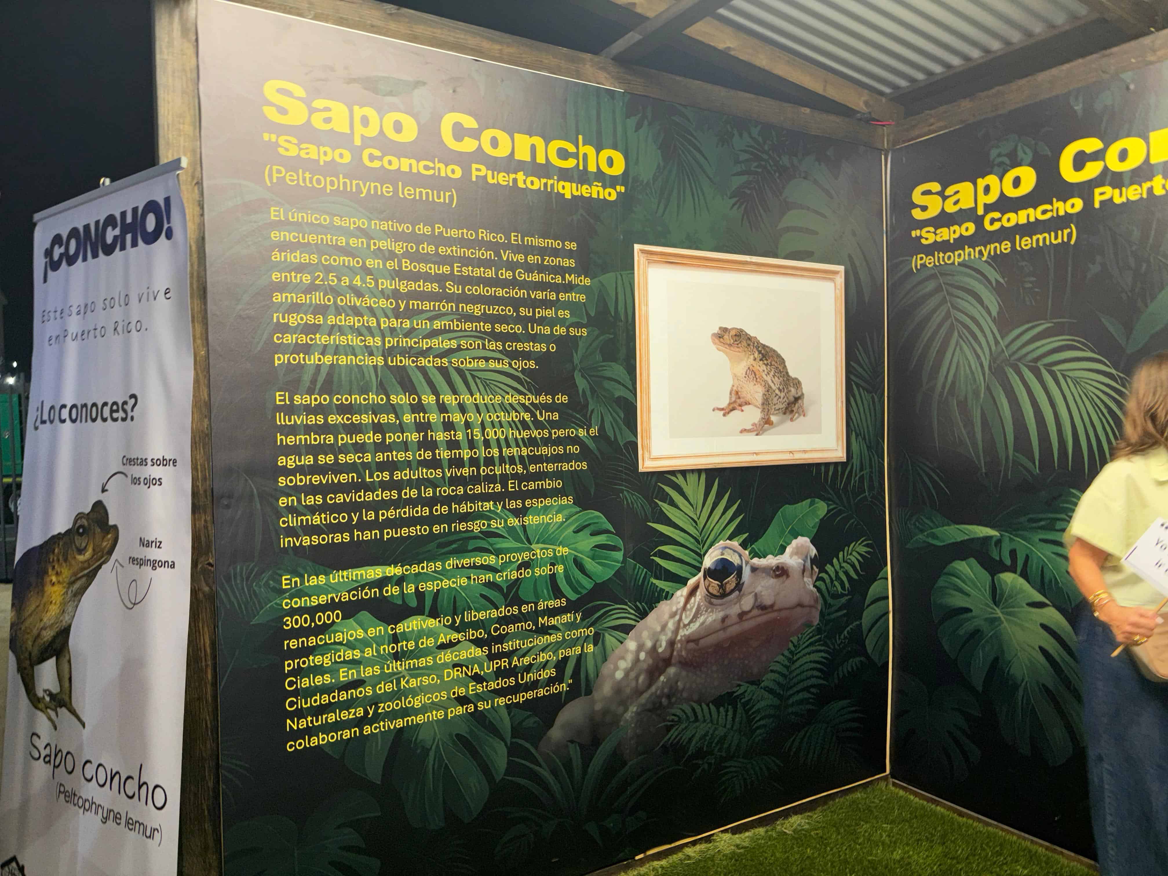 Infografik