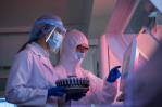 Un tratamiento experimental logró que el tipo de cáncer de mama más agresivo desapareciera