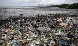 WWF pide un acuerdo fuerte contra los plásticos a una semana de que empiecen negociaciones