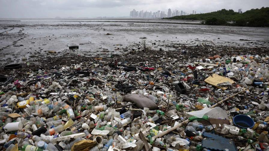 WWF pide un acuerdo fuerte contra los plásticos a una semana de que empiecen negociaciones WWF pide un acuerdo fuerte contra los plásticos a una semana de que empiecen negociaciones