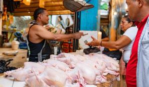 Los avicultores colocan dos millones de libra de pollo para mantener sus precios en el mercado