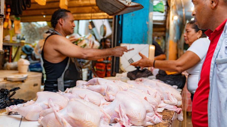 Los avicultores colocan dos millones de libra de pollo para mantener sus precios en el mercado
