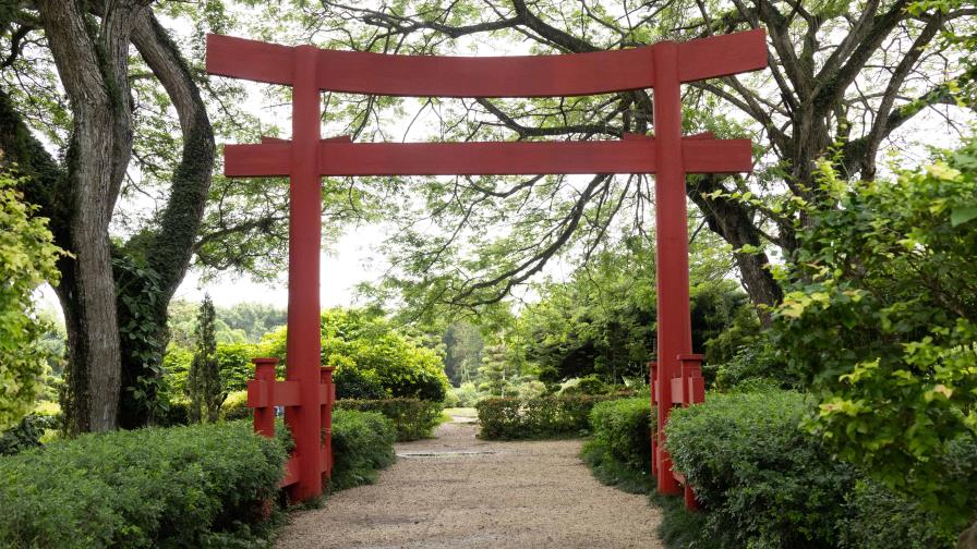 El Gobierno inicia proceso judicial para titularizar áreas del Jardín Botánico a nombre del Estado El Gobierno inicia proceso judicial para titularizar áreas del Jardín Botánico a nombre del Estado