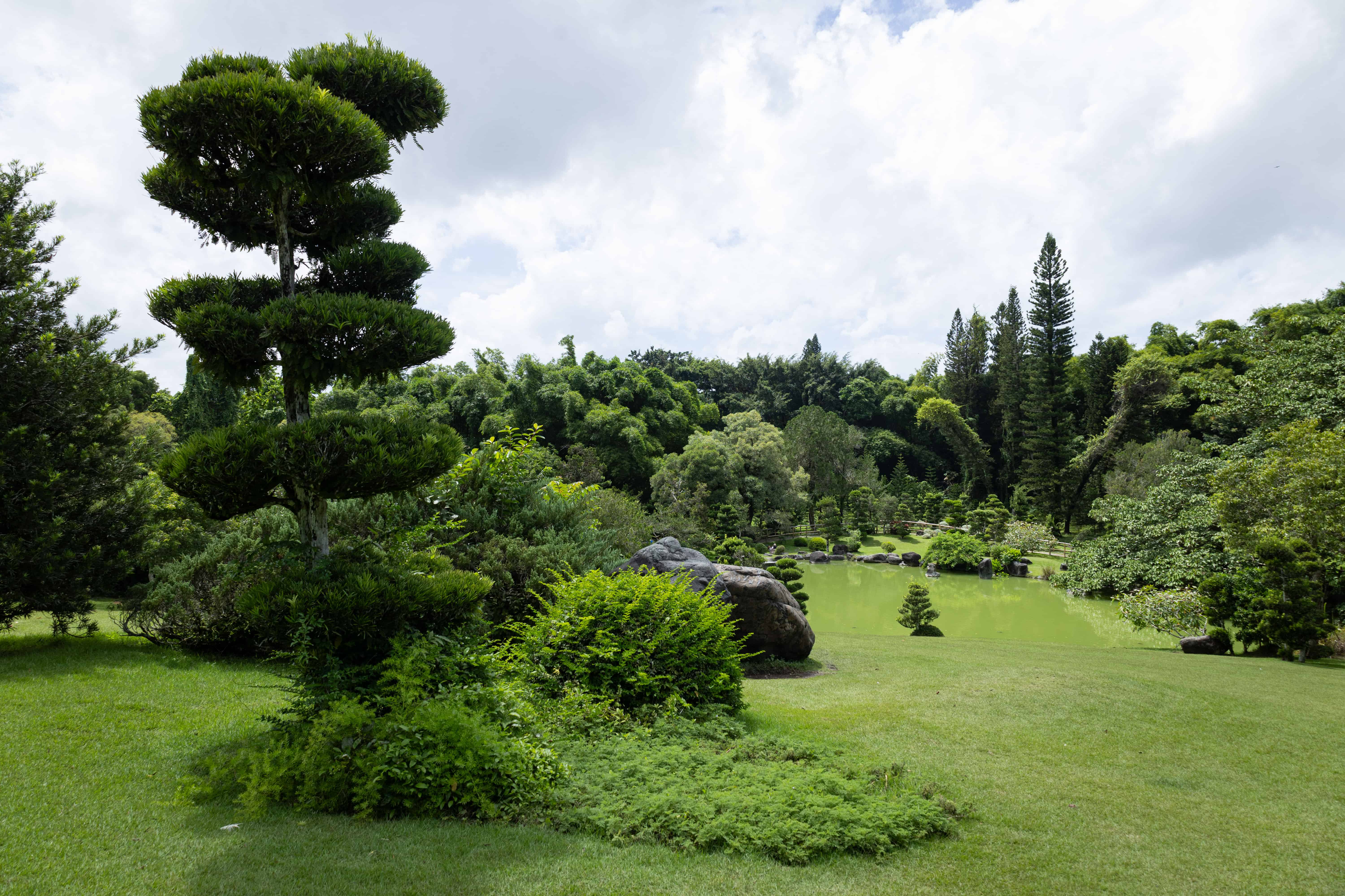 Vista del Jardín Japonés