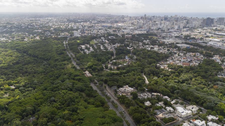Comunitario destaca el valor científico y patrimonial del Jardín Botánico