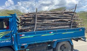 Ejército detiene hombre en camión cargado de madera sin documentación legal en Montecristi
