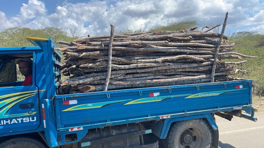 Ejército detiene hombre en camión cargado de madera sin documentación legal en Montecristi