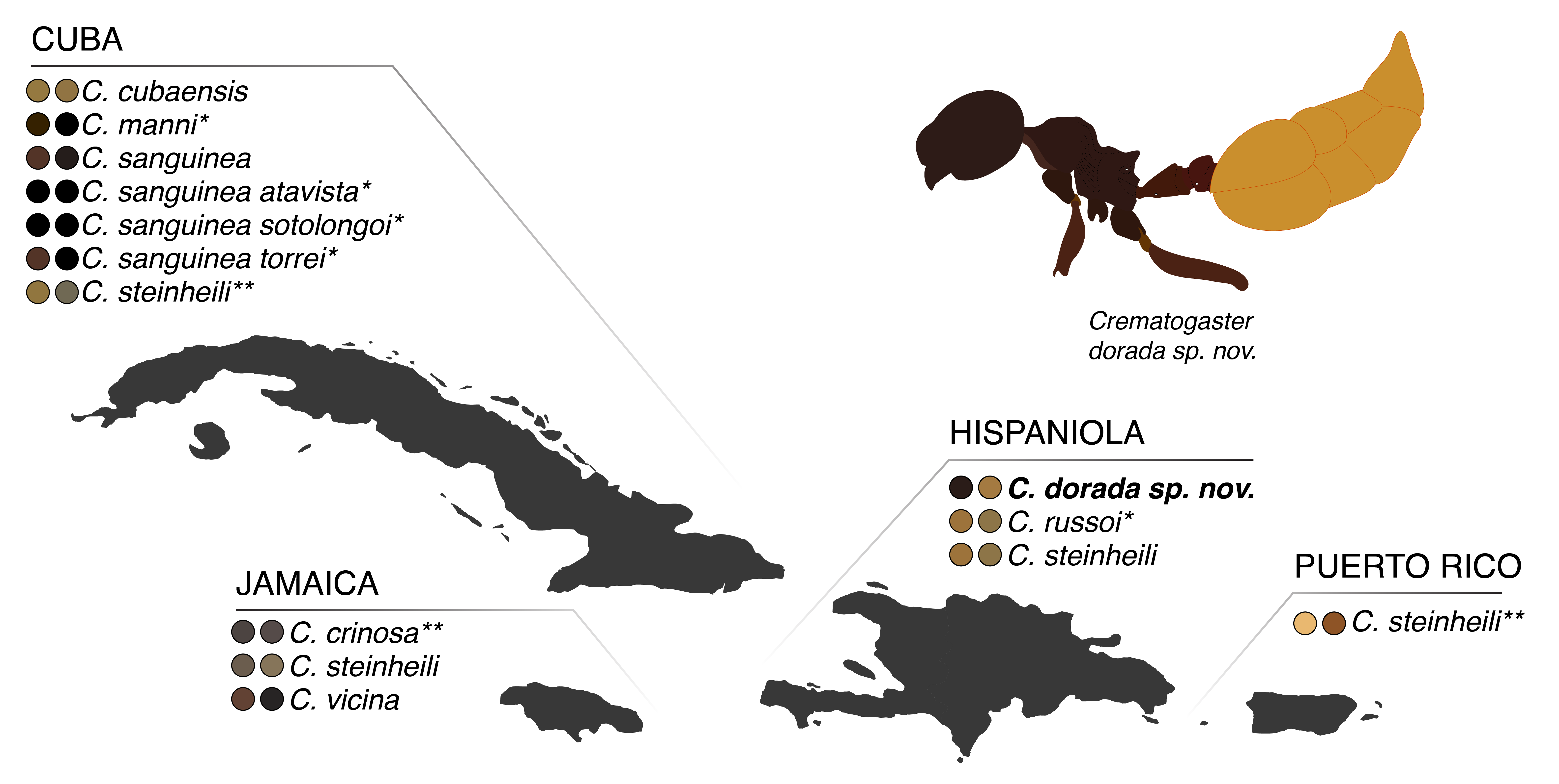 Infografía