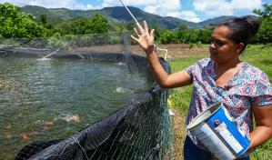 La acuicultura necesita de más recursos y formación para desarrollarse