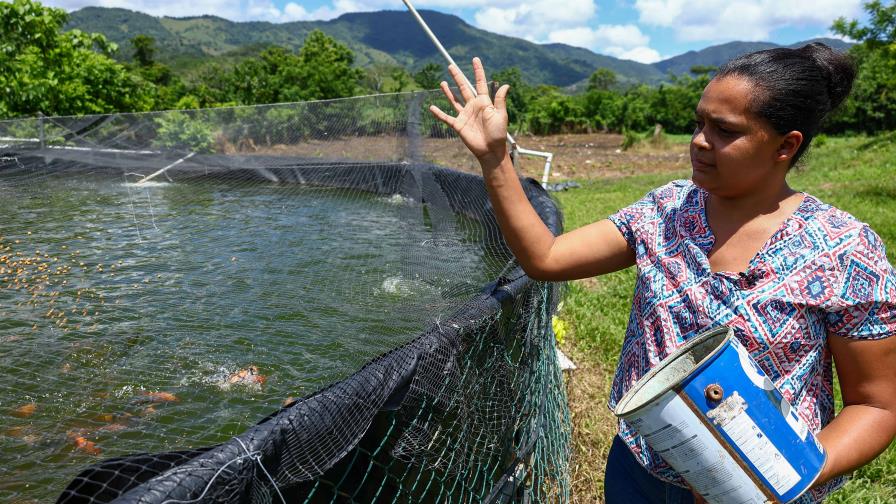 La acuicultura necesita de más recursos y formación para desarrollarse La acuicultura necesita de más recursos y formación para desarrollarse
