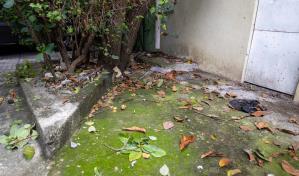 Vecinos de calle 23 en La Esperanza, Santo Domingo Este, afectados por  aguas malolientes