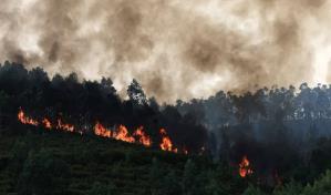 Detenida una mujer de 56 años por causar un incendio forestal en Arouca en Portugal