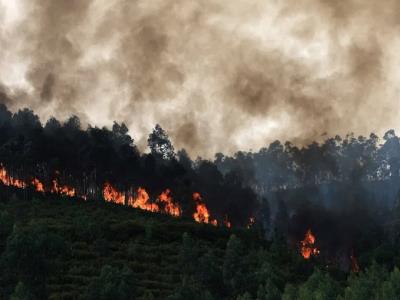 Detenida mujer por causar incendio forestal en Portugal