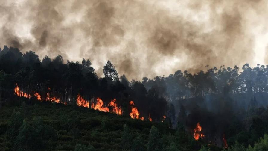 Detenida una mujer de 56 años por causar un incendio forestal en Arouca en Portugal
