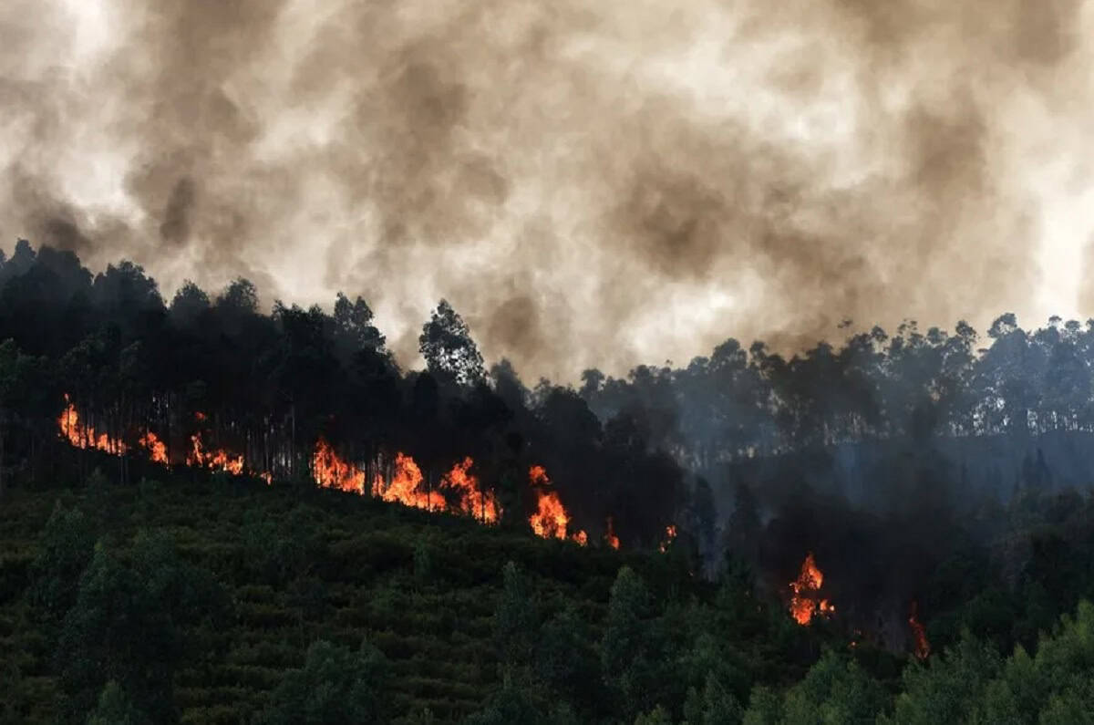 Detenida una mujer de 56 años por causar un incendio forestal en Arouca en Portugal