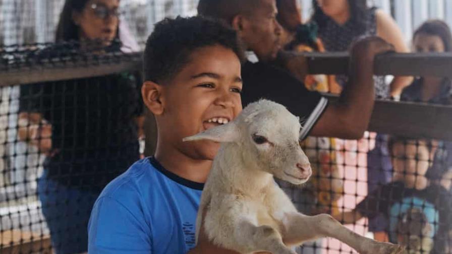 Gratis y al aire libre: Sanut ofrece un sábado con animales, talleres y sabores del campo Gratis y al aire libre: Sanut ofrece un sábado con animales, talleres y sabores del campo