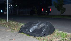 Abandonan perros muertos en calle de Los Jardines del Norte