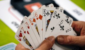 Bridge: el gimnasio mental para fortalecer las habilidades cognitivas en la era digital