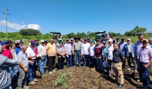 El Ministerio de Agricultura inicia veda de cultivos hospederos de la mosca blanca y el trips