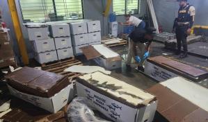 Querían camuflarla entre pescados, pero era cocaína: DNCD frustra envío de 58 kilos a Miami