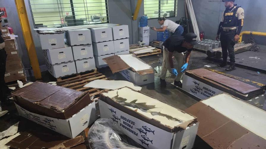 Querían camuflarla entre pescados, pero era cocaína: DNCD frustra envío de 58 kilos a Miami Querían camuflarla entre pescados, pero era cocaína: DNCD frustra envío de 58 kilos a Miami