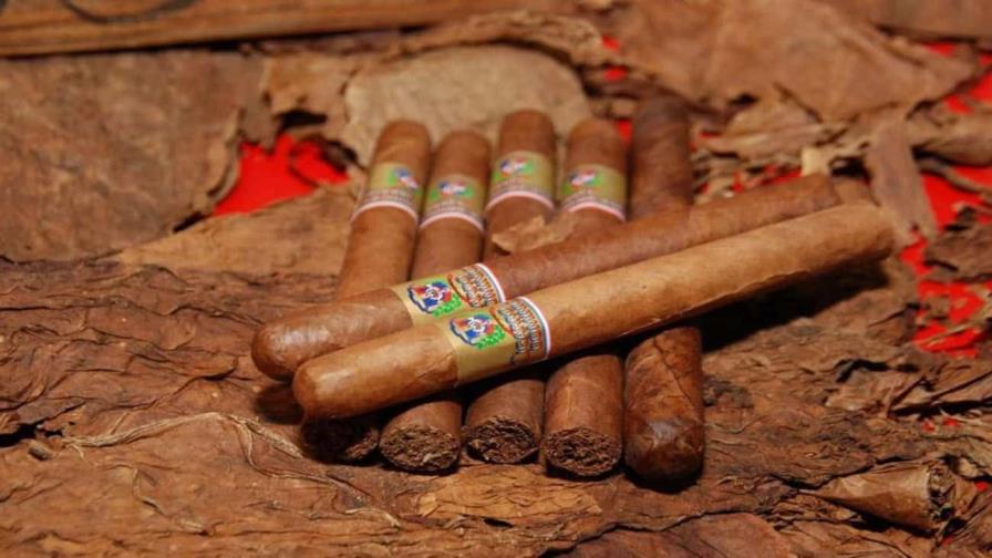 El tabaco dominicano vive su mejor momento con cifras récord de exportaciones El tabaco dominicano vive su mejor momento con cifras récord de exportaciones