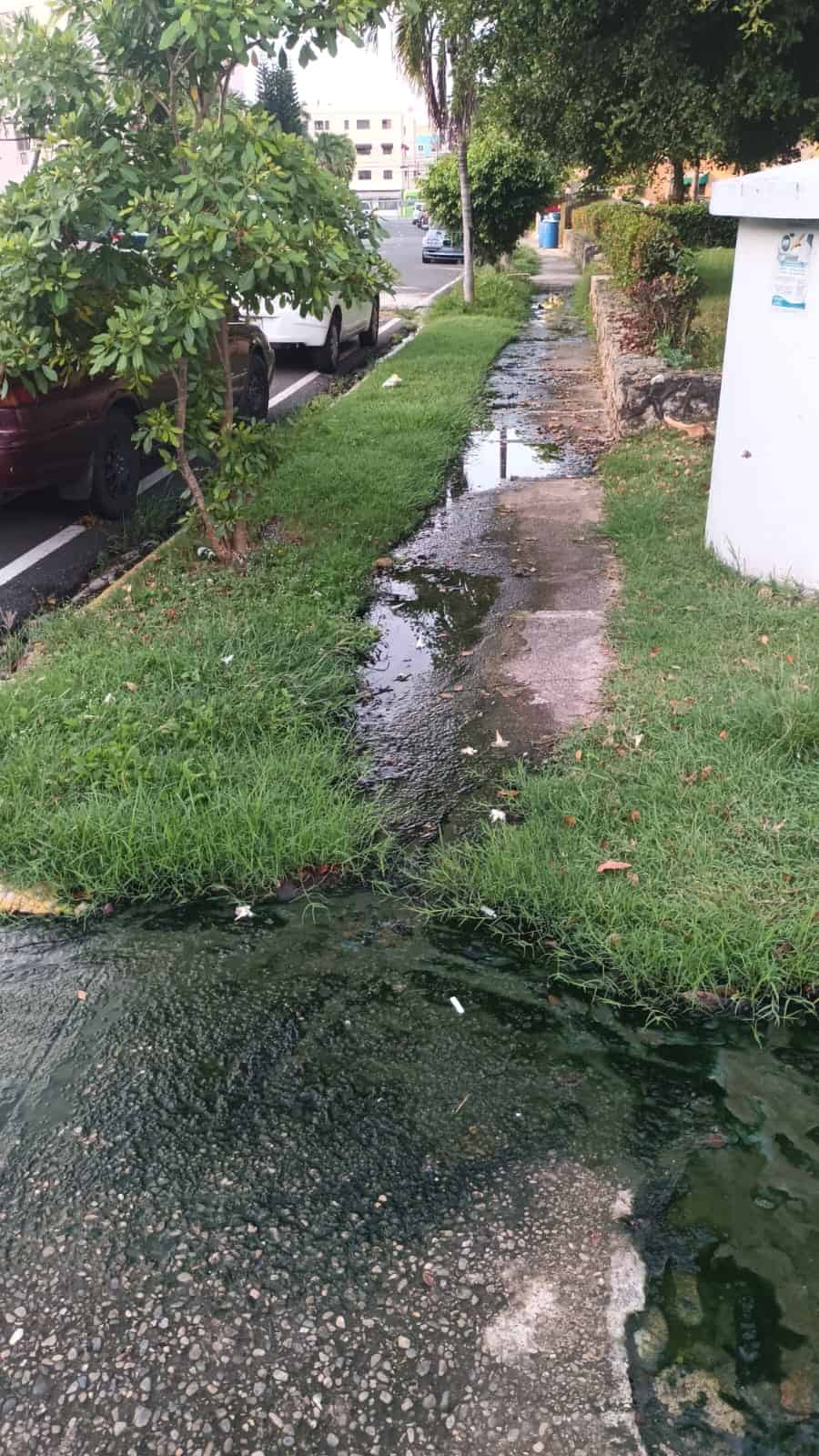 Agua de claoca.