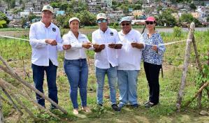 La Fundación Ex Alumnos Loyola 79 siembra más de 5,500 árboles en el sector Nuevo Domingo Savio