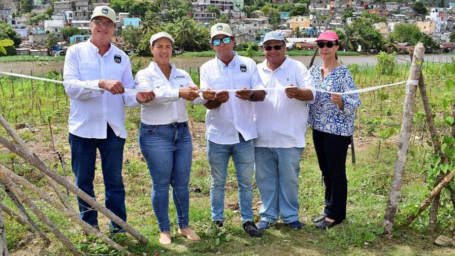 La Fundación Ex Alumnos Loyola 79 siembra más de 5,500 árboles en el sector Nuevo Domingo Savio