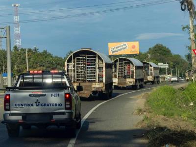 Detienen dos empleados de Migración por tráfico de haitianos
