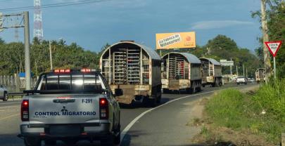Caen dos empleados de Migraci&oacute;n por transportar haitianos indocumentados en veh&iacute;culos oficiales