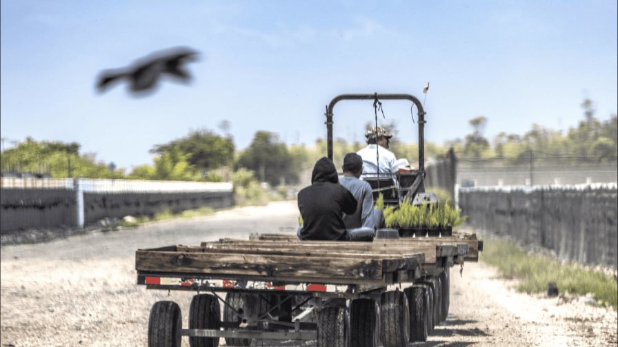 Trump reconoce que los trabajadores migrantes que expulsa son difíciles de reemplazar