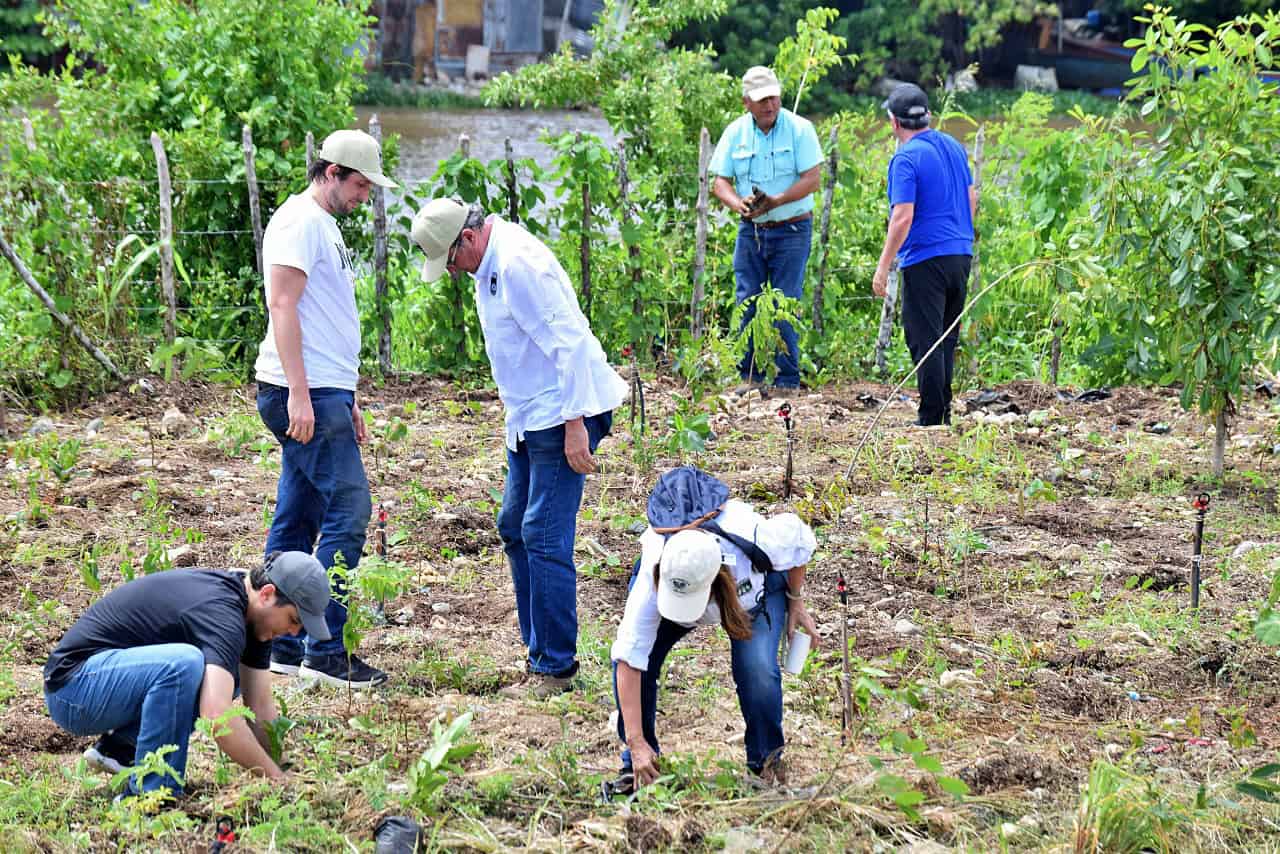 [object HTMLTextAreaElement]