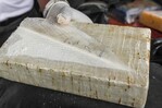 Incautan en Portugal tonelada y media de cocaína de A. Latina escondida en pieles animales