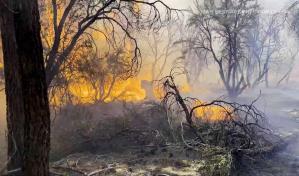 Incendio en California amenaza cientos de viviendas