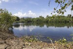 Punta Bergantín: el laboratorio del turismo sostenible dominicano Punta Bergantín: el laboratorio del turismo sostenible dominicano