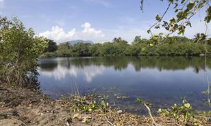 Punta Bergant&iacute;n: el laboratorio del turismo sostenible dominicano
