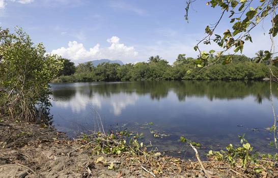 Punta Bergantín: el laboratorio del turismo sostenible dominicano