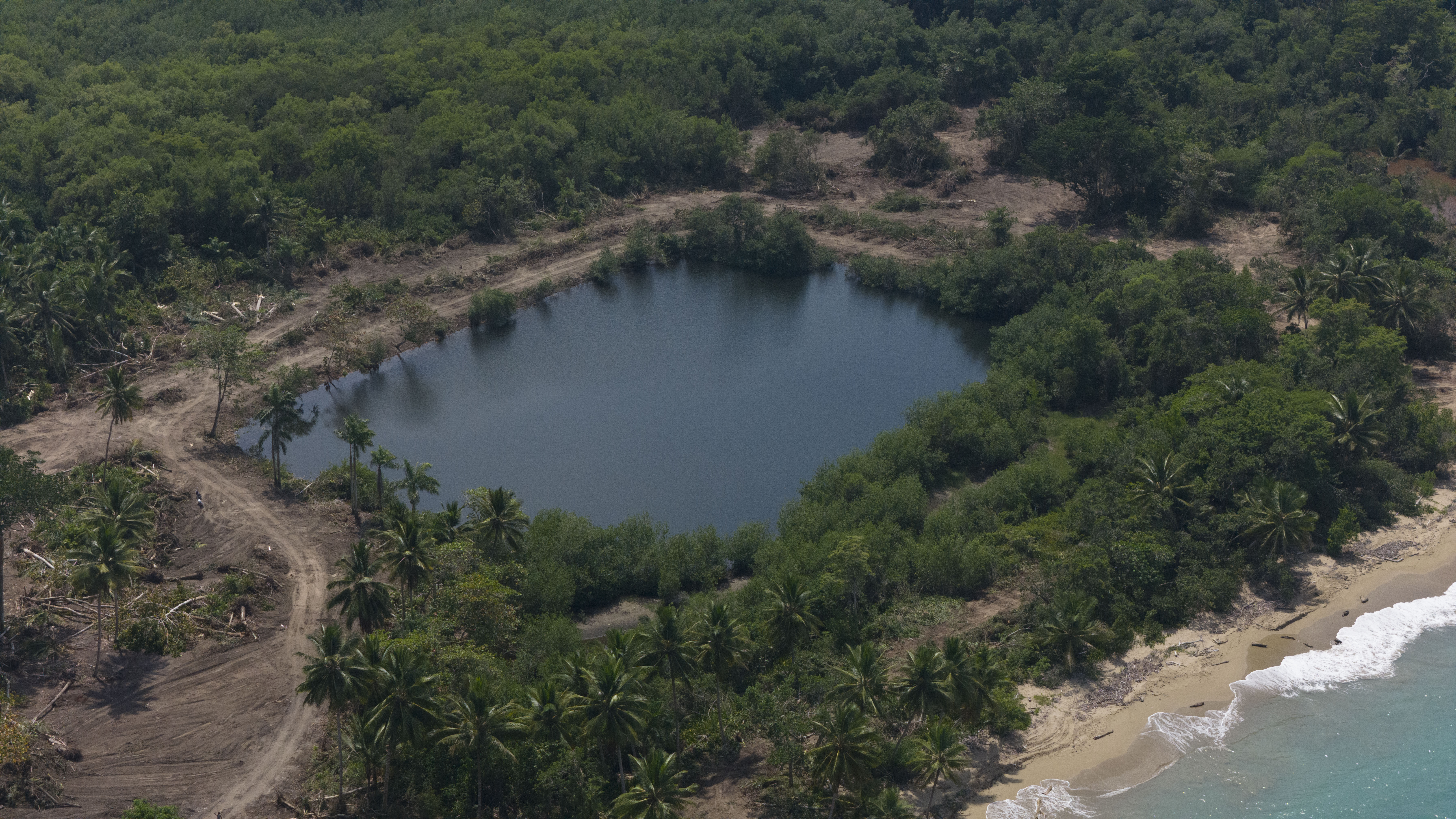 Vista aérea de los mangles que bordean una pequeña laguna en los espacios dentro del proyecto.