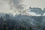 Un muerto y nueve heridos en un gran incendio forestal en Francia
