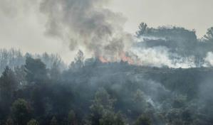 Un muerto y nueve heridos en un gran incendio forestal en Francia Un muerto y nueve heridos en un gran incendio forestal en Francia