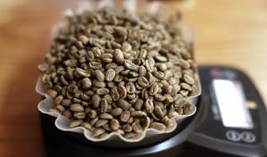 Una ventana al complejo mundo del café de lujo en Panamá con miras al ecoturismo