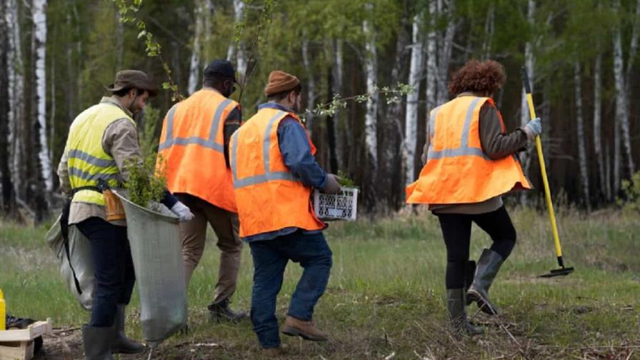 ¿Cuáles son los cinco países más peligrosos para ser defensor ambiental en Latinoamérica?