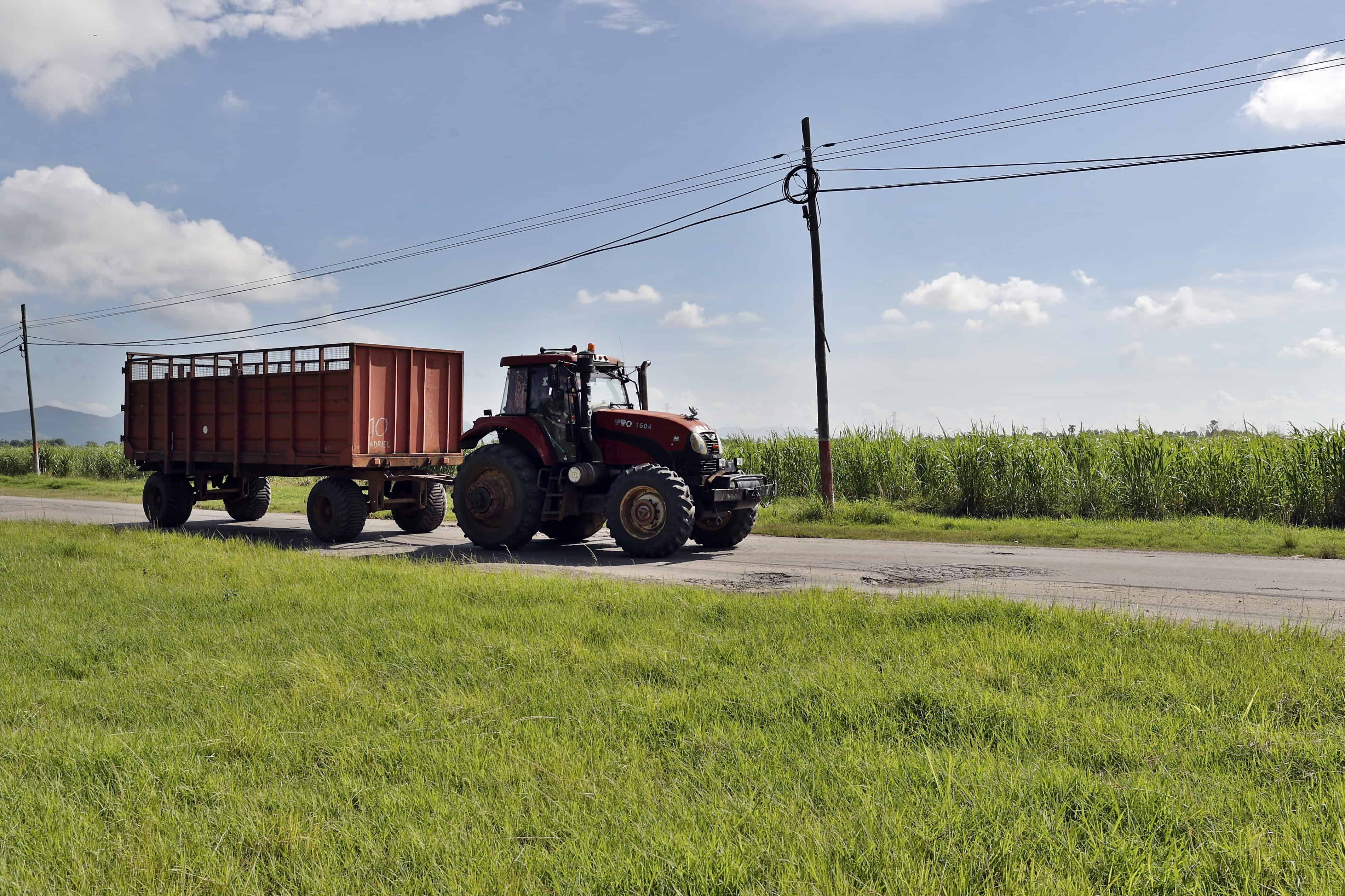 Un tractor pasa junto a una plantación de caña de azúcar este miércoles, en la provincia de Artemisa (Cuba). La zafra de 2024/2025 en Cuba no superó las 150.000 toneladas de azúcar, lo que supone el peor resultado en más de un siglo y menos de la mitad de lo obtenido el año pasado, según cálculos de EFE basados en fuentes oficiales.&nbsp;