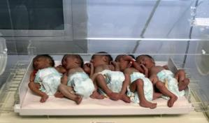 Caída histórica de la natalidad en Egipto