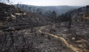 Los griegos calculan el costo de la tragedia por incendios cerca de AtenasPalaia Fokaia, Grecia
